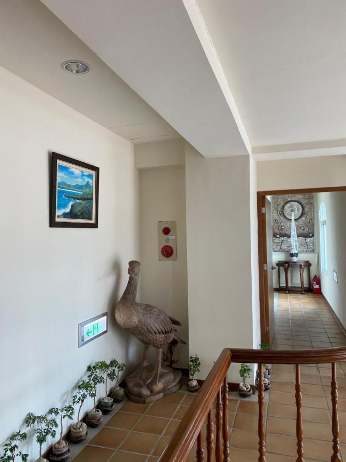 Mamalulu Hostel Кеньдін Екстер'єр фото